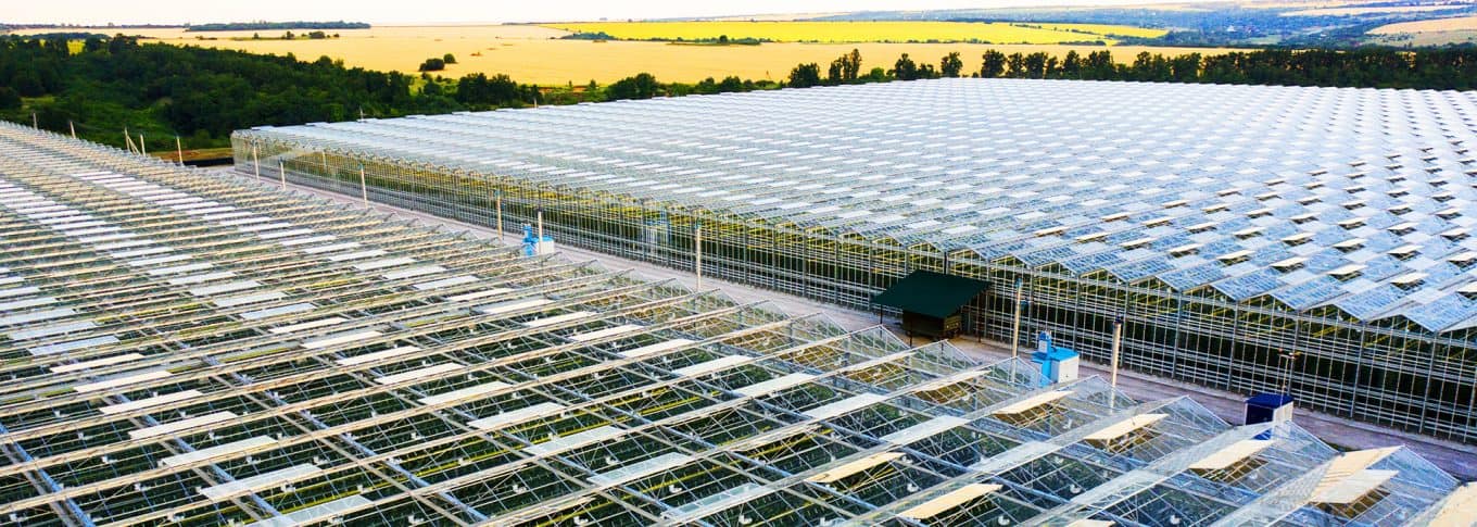 Irrigation Systems for Greenhouses